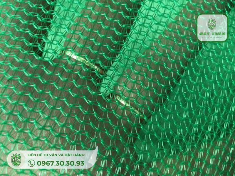 đặc điểm lưới đài loan khổ 3m