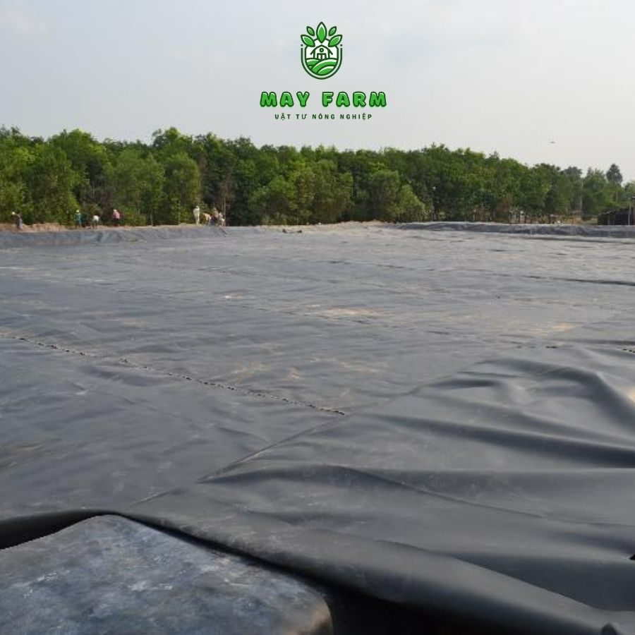 Bạt HDPE chống thấm sân thượng - Ảnh 3