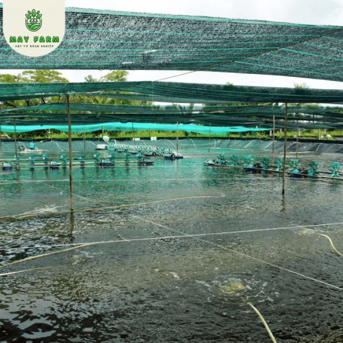 Lưới Che Nắng Thái Lan Khổ 2m Tốt Nhất - Nhập Khẩu Chính Hãng - Ảnh 4