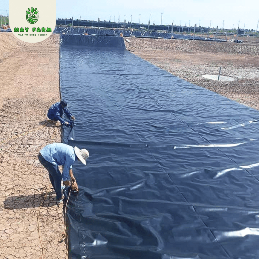 Màng chống thấm HDPE dày 0.75mm - lót chống thấm bền bỉ - Ảnh 4