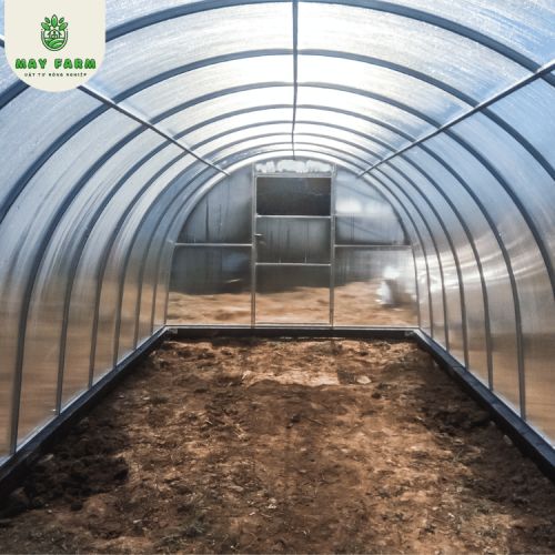 Màng nhà kính Israel chính hãng, đa dạng kích thước  - Ảnh 2