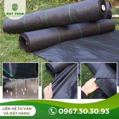 Bạt phủ chống cỏ 80g lẻ từ 1m nhiều kích thước, độ bền cao - Ảnh 4