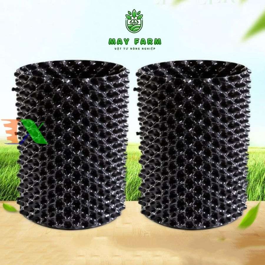 Bầu Ươm Cây Con - Ảnh 6