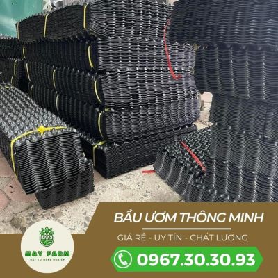 Bầu ươm cây V6 chất lượng, đủ loại ( Cuộn 50m) - Ảnh 5