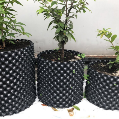 Bầu ươm cây V7 đủ loại, đủ kích thước ( Cuộn 50m) - Ảnh 6