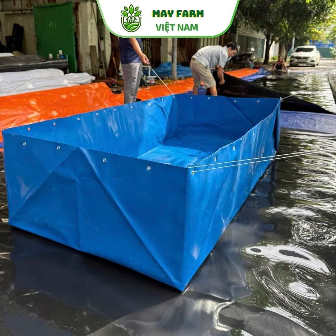 Bể Bạt Màu Xanh HDPE Nuôi Tôm, Cá, Ốc,  Bền Lâu - Ảnh 2