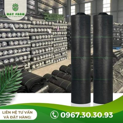 Bạt phủ chống cỏ 80g 90g hàng nhập Đài Loan (Đủ kích thước) - Ảnh 6