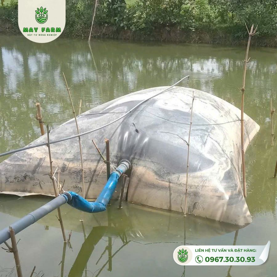 Túi Biogas hdpe 8 khối dày 1mm xử lý chất thải gà,lợn, vịt, Gia công theo yêu cầu - Ảnh 4