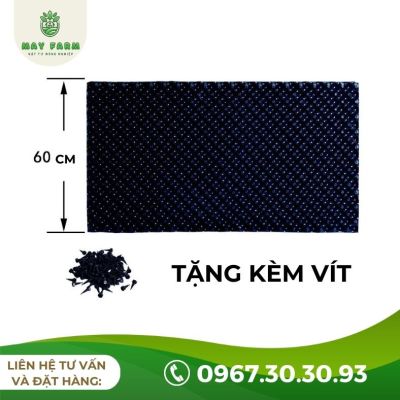 Bầu ươm cây V6 chất lượng, đủ loại ( Cuộn 50m) - Ảnh 7