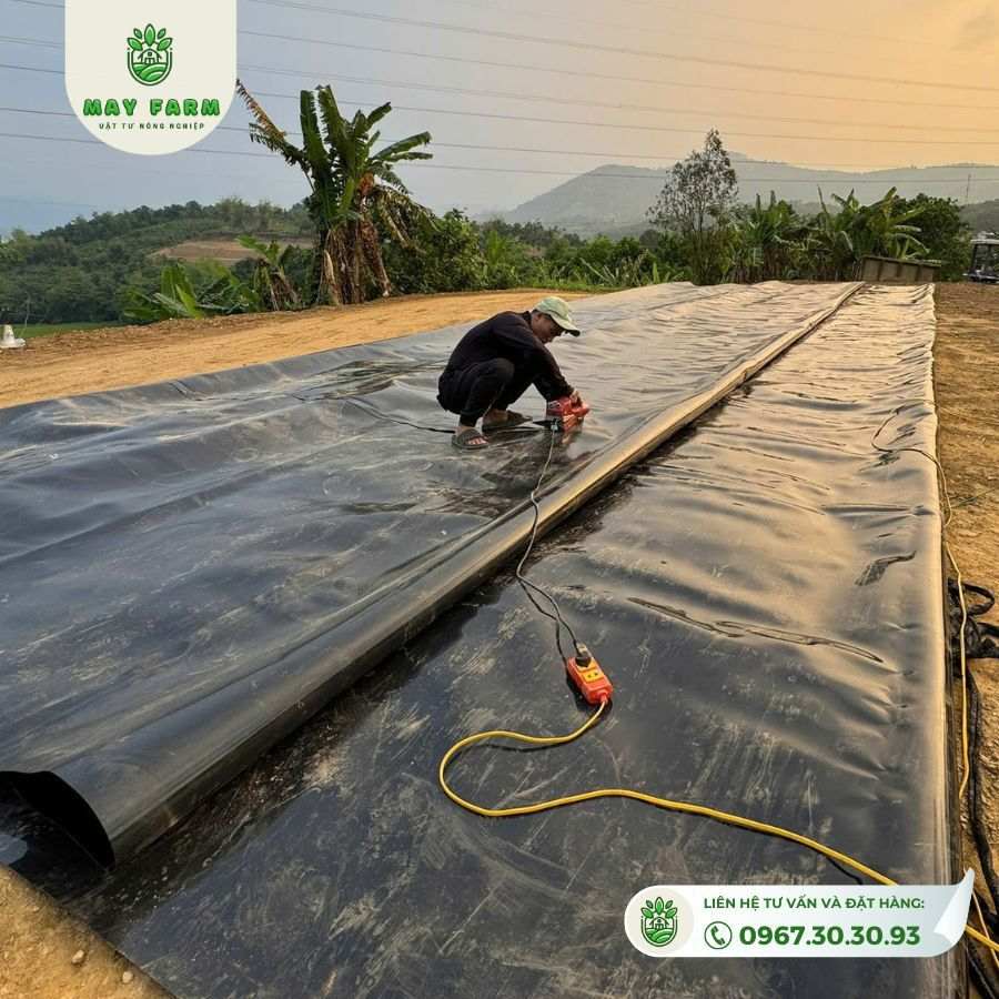 Bạt HDPE 3 lớp - Ảnh 3