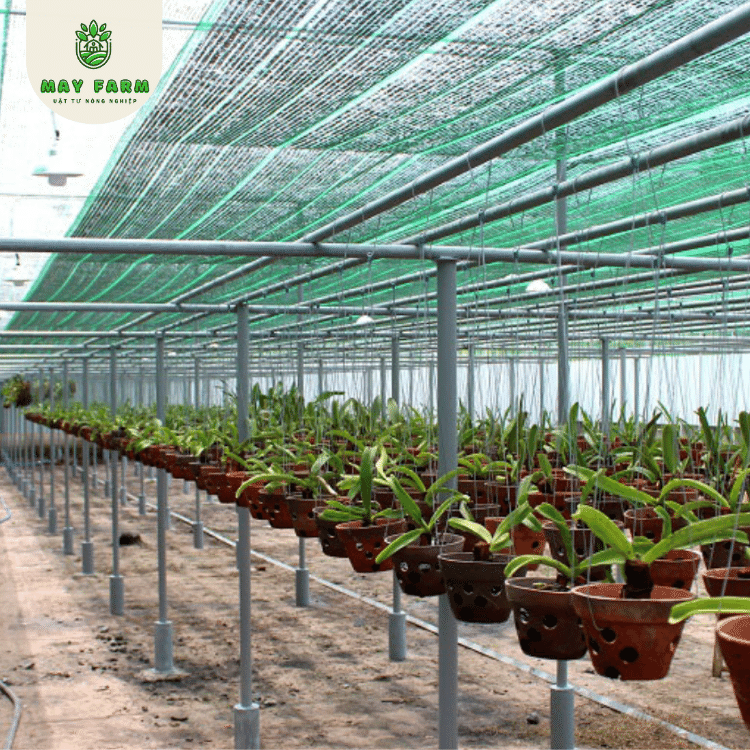 Lưới che nắng 60% giá tốt, chất lượng, đủ kích thước - Ảnh 3