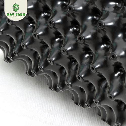 Bầu ươm v6 30cm giá tốt, chất lượng tại May Farm - Ảnh 7