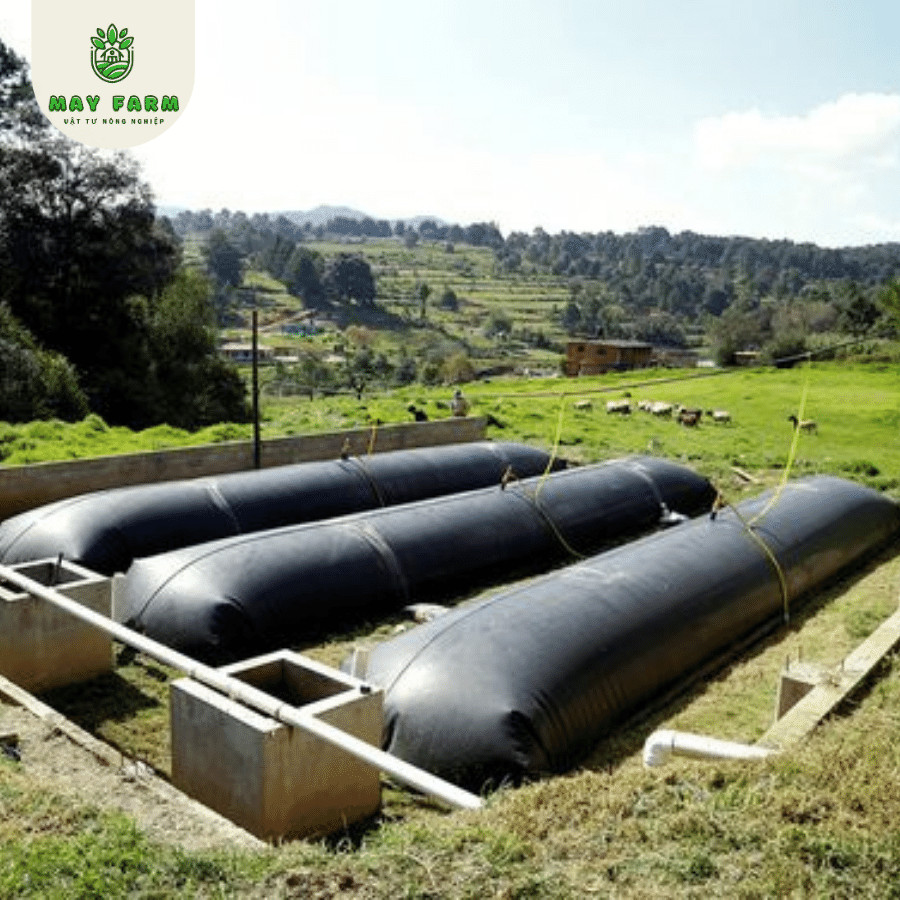 Bạt lót hồ cá HDPE  - Ảnh 8