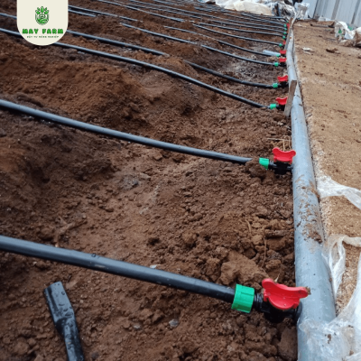 Van Khởi Thủy Tưới Nhỏ Giọt (Phi 16) Đủ Loại, Giá Rẻ, Uy Tín - Ảnh 2