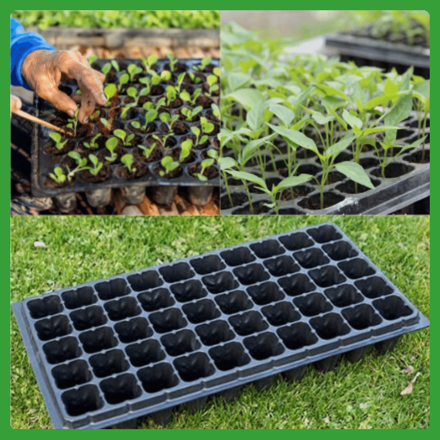 Khay ươm hạt giống 50 lỗ giá tốt, chất lượng - Ảnh 7
