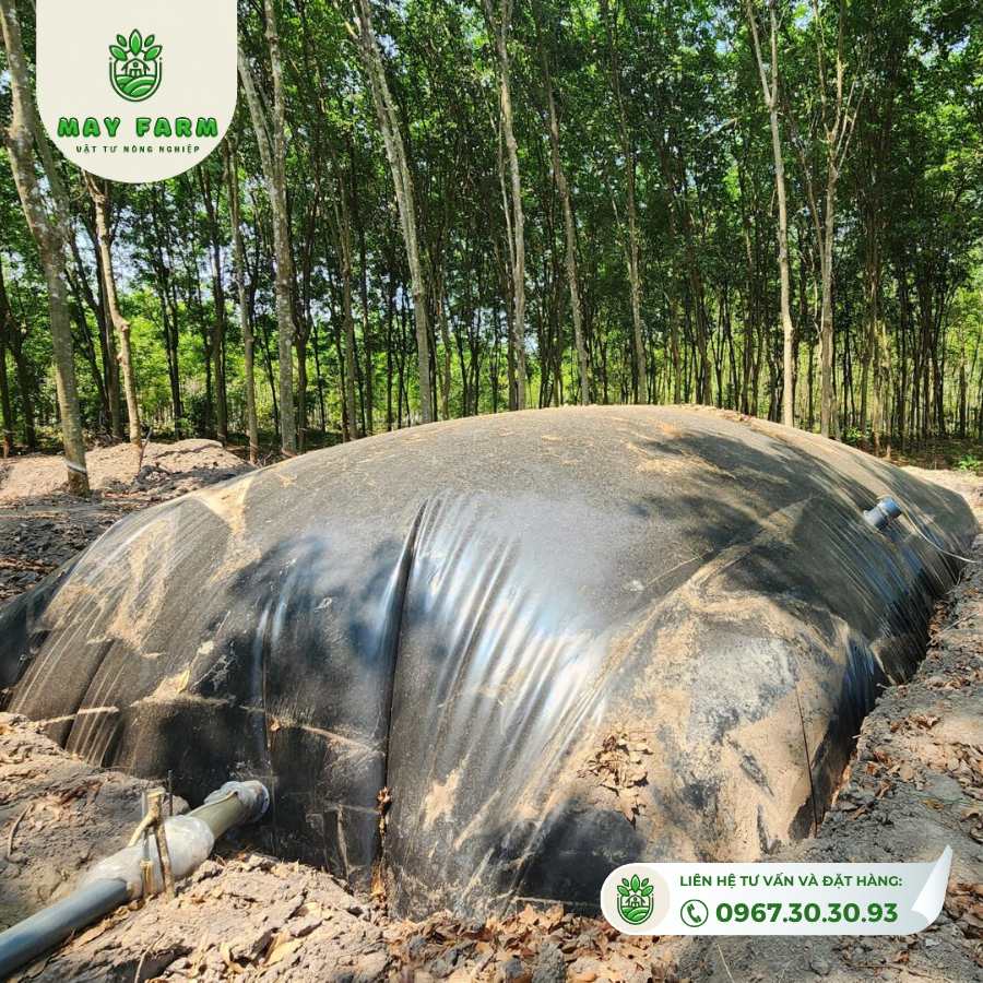 Túi Biogas hdpe 8 khối dày 1mm xử lý chất thải gà,lợn, vịt, Gia công theo yêu cầu - Ảnh 8