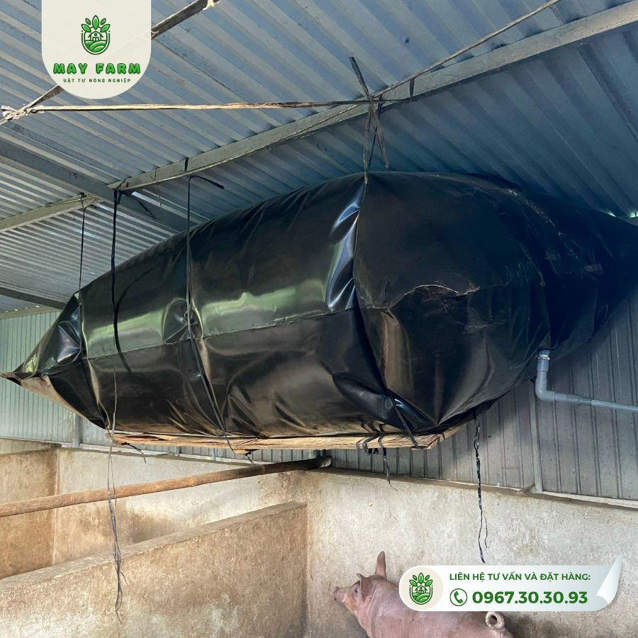Túi Biogas hdpe 15 khối dày 1mm xử lý chất thải chăn nuôi  - Ảnh 9