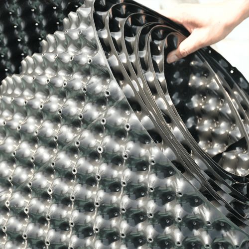 Bầu ươm mai v6 50cm - giải pháp cho vườn mai tươi tốt - Ảnh 7