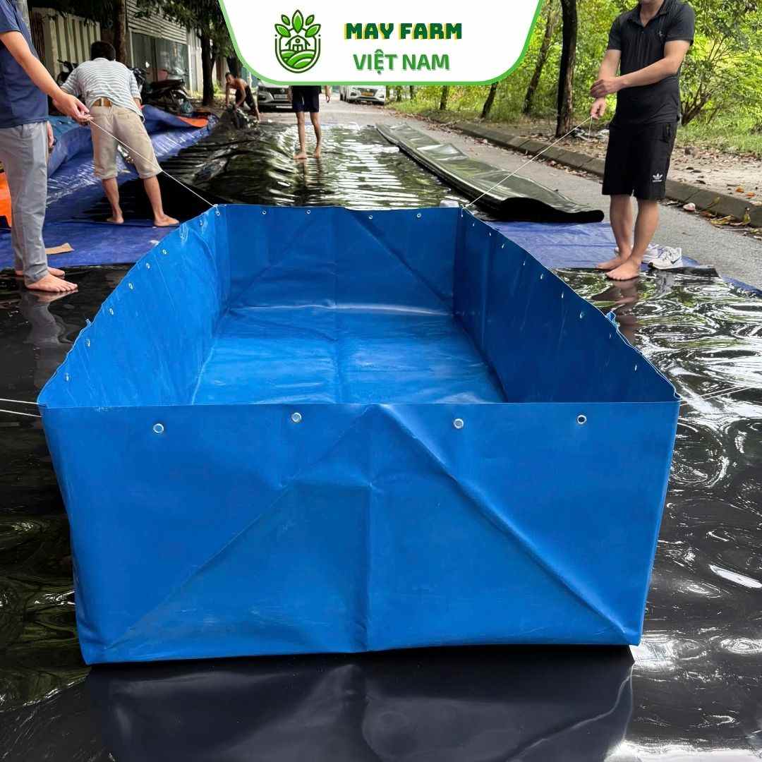 Bể Bạt Màu Xanh HDPE Nuôi Tôm, Cá, Ốc,  Bền Lâu - Ảnh 3
