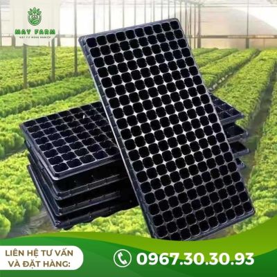 Khay ươm hạt giống 200 lỗ - hướng dẫn sử dụng hiệu quả - Ảnh 4