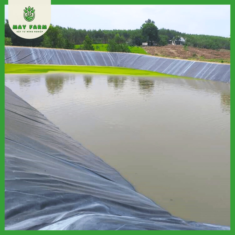 Bạt lót hồ cá HDPE  - Ảnh 3