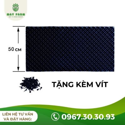 Bầu Ươm V6 Bán Lẻ Từ 1m Giá Tốt, Nhiều Kích Thước - Ảnh 7