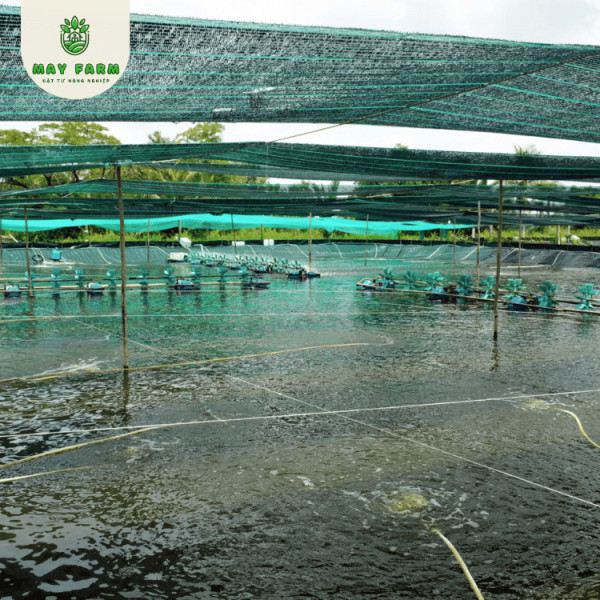 Lưới che nắng dệt phẳng Thái Lan 70% giá tốt - Ảnh 4