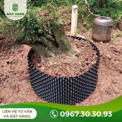 Bầu ươm cây V7 đủ loại, đủ kích thước ( Cuộn 50m) - Ảnh 2