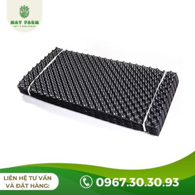 Bầu Ươm V6 Bán Lẻ Từ 1m Giá Tốt, Nhiều Kích Thước - Ảnh 4