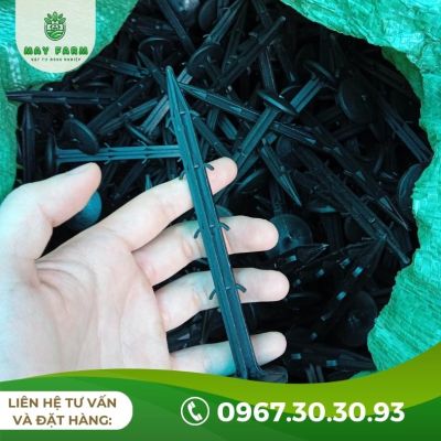 Màng phủ nông nghiệp 25 Mic - Ảnh 8