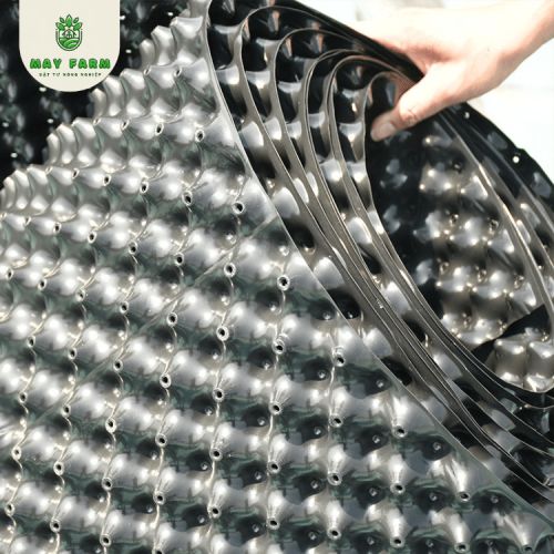 Bầu ươm v6 30cm giá tốt, chất lượng tại May Farm - Ảnh 5