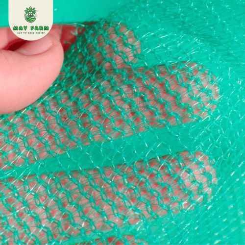 Lưới che nắng 50% ứng dụng hữu ích cho nông nghiệp - Ảnh 4