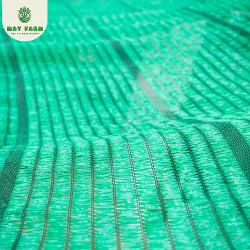 Lưới Xanh Che Nắng Thái Lan - Ảnh 5