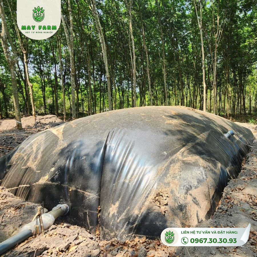 Tư liệu hạng mục Biogas dùng cho bước thiết kế và lập phương án