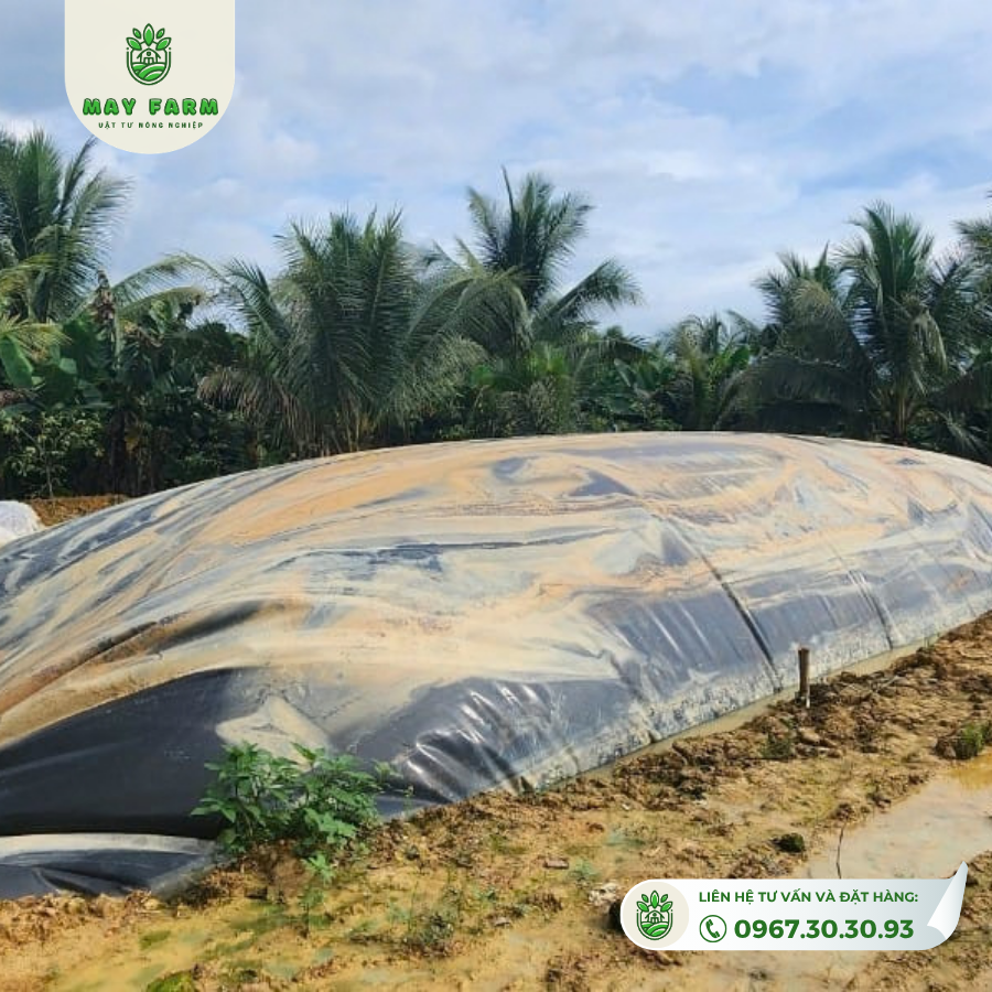 Hạng mục Biogas HDPE trong tư liệu Mayfarm