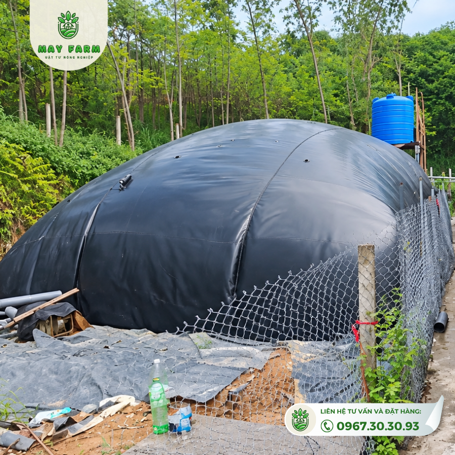 Hạng mục Biogas HDPE triển khai tại công trình trong tư liệu Mayfarm